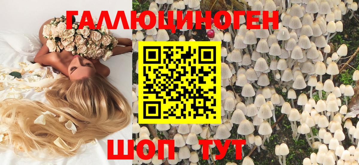Галлюциногенные грибы GOLDEN TEACHER Россошь