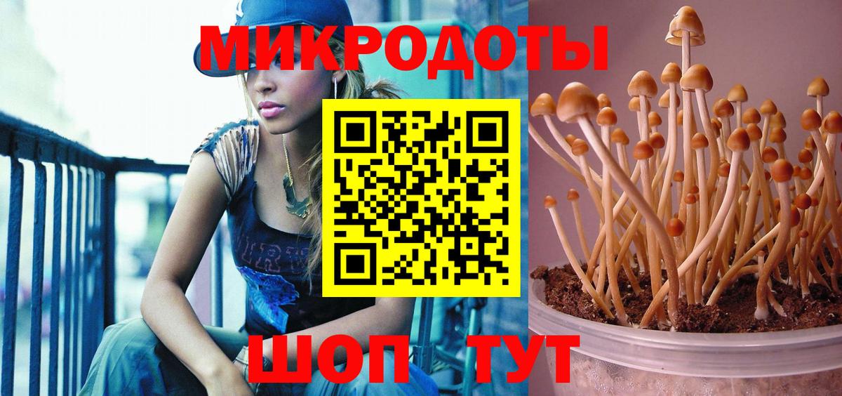 Россошь  Псилоцибиновые грибы MAGIC MUSHROOMS  Псилоцибиновые грибы GOLDEN TEACHER  Вход с VPN 